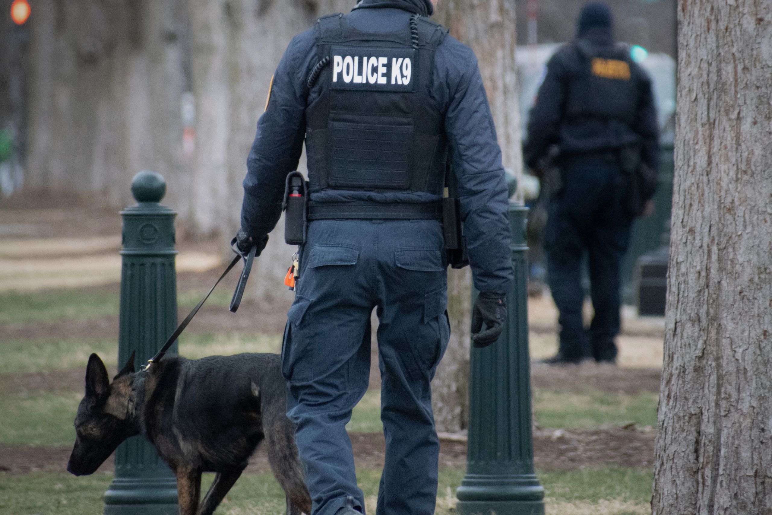 Man Mauled in Canton Police K-9 Attack Seeks Accountability