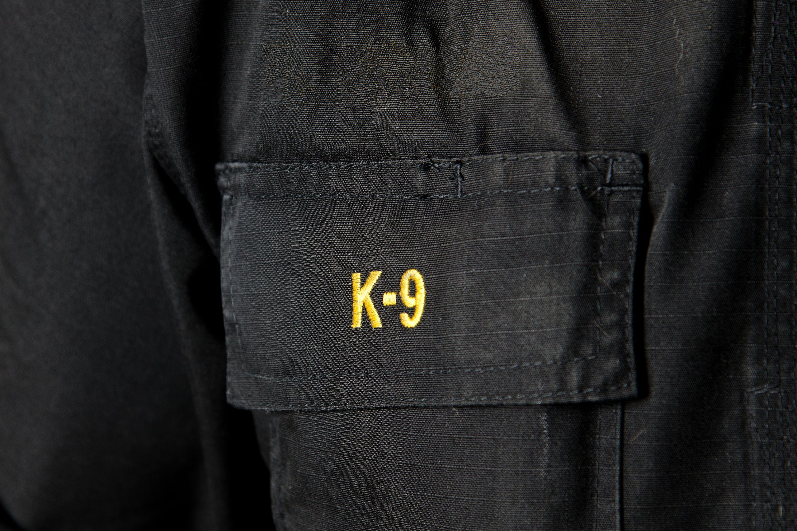 Three Lawsuits Challenge Canton Police K‑9 Deployments